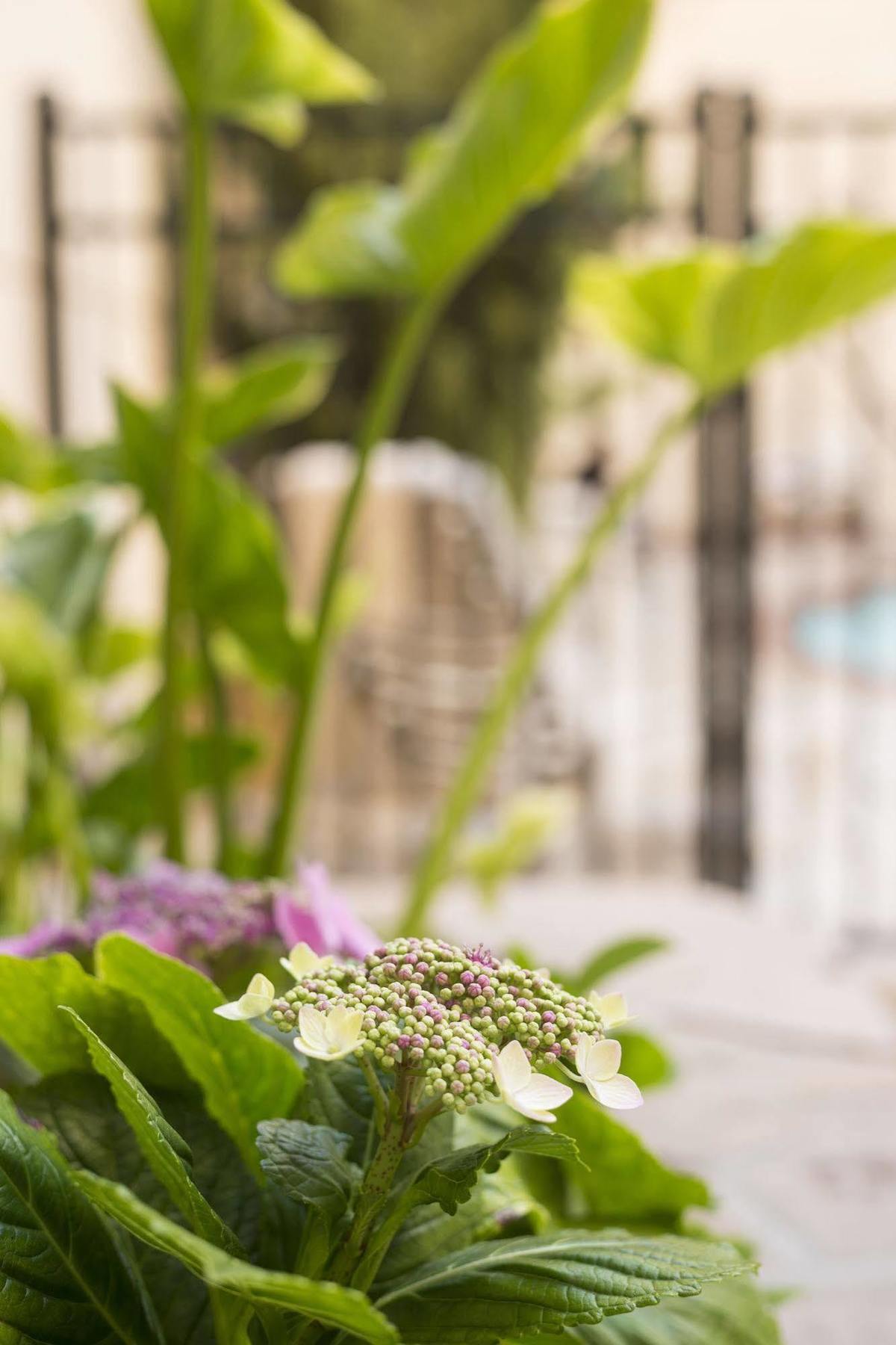 Ayres Hotel Manhattan Beach Hawthorne Dış mekan fotoğraf